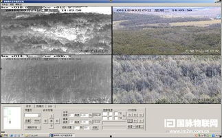 林業(yè)生態(tài)安全物聯(lián)網(wǎng)技術(shù) 重慶的創(chuàng)新突破與前景展望